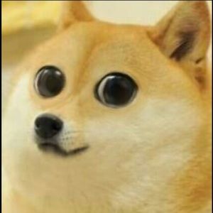 Meet your Posher, Cooper